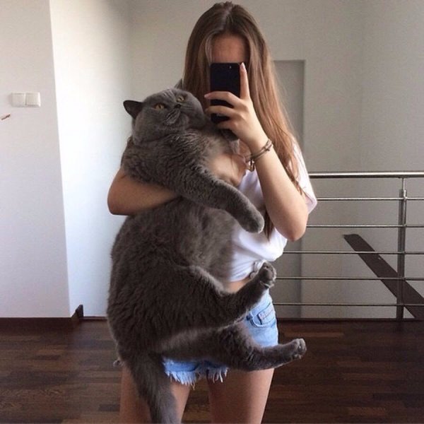 То чувство, когда кот питается лучше, чем я.#настроение@ican