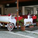 ���� ������, �����-���������, 59 ��� - ��������� 10 ������ 2016 � ������ ���� ����������