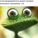 ���� �����, ���������, 62 ���� - ��������� 17 ������� 2016 � ������ ������ ��������