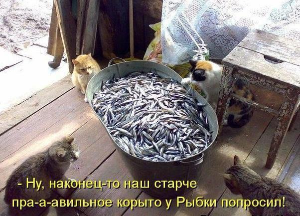    - 10  2017  11:16