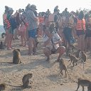 ���� �����, �����������, 48 ��� - ��������� 7 ������ 2017 � ������ ���� ����������