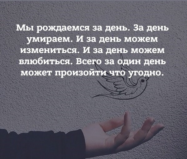   - 12  2017  19:43