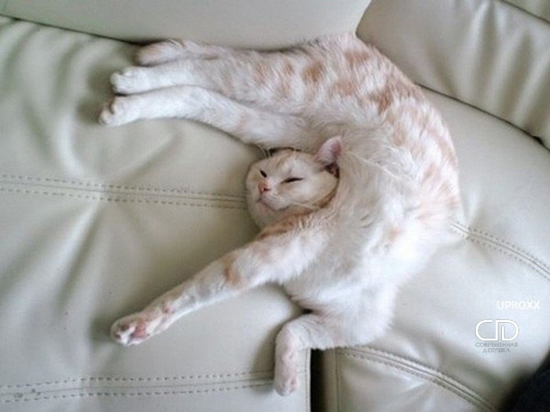      ,  , ,     !)