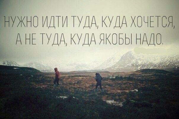 BEST | , ,  - 31  2016  15:01