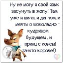 ���� �������, ���� - ��������� 29 �������� 2016 � ������ ������ ��������