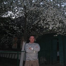 �������, ���������, 53 ����