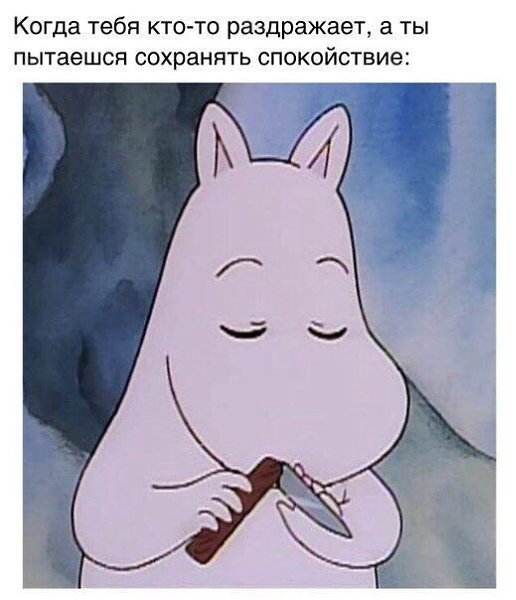     - 24  2017  19:21