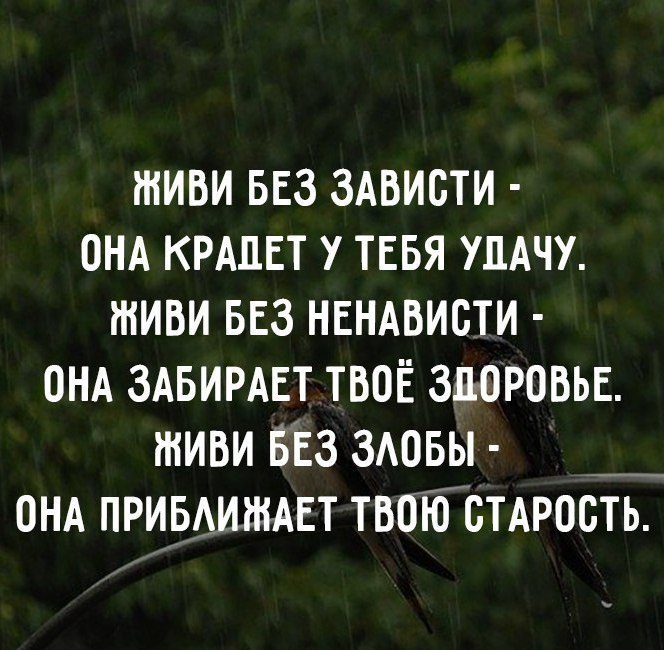 LIFE -  - 23  2017  09:59