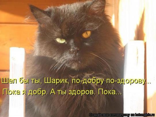 ***Victoria Viktorovna*** - 23  2016  06:14