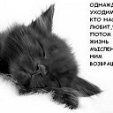 ���� ����, ������������, 58 ��� - ��������� 20 ������� 2016 � ������ ������ ��������