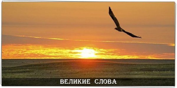 Позволь каждой ошибке научить тебя великому уроку: каждый закат — это начало яркого и большого ...