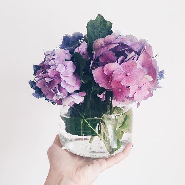 ����� ������� - 31 ������ 2017 � 01:07 - 9