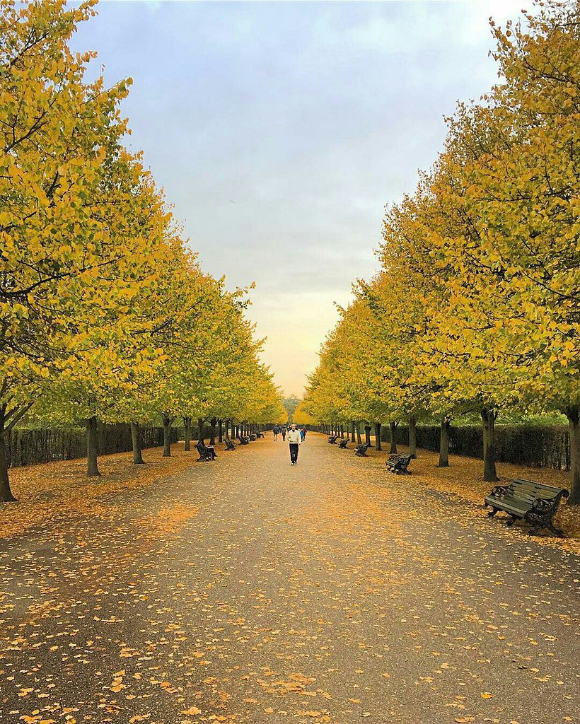 London, The United Kingdom - 7