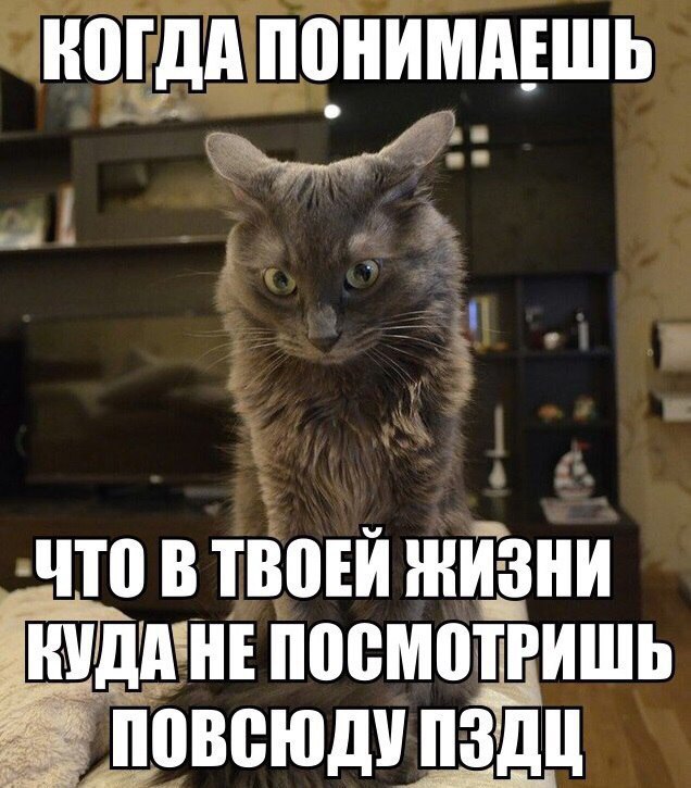 Шутки про олю смешные. Трудная работа у президента куда не глянь все воруют картинки. Вокруг одни святые. Куда не посмотрю всюду вижу его. Везде как удержать мужчину.
