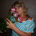 ���� �����, ������, 51 ��� - ��������� 26 ������ 2017 � ������ ���� ����������