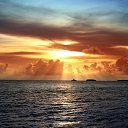 ���� ������, ������, 44 ���� - ��������� 31 ������ 2017 � ������ ���� ����������