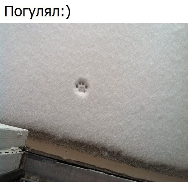  - 10  2017  19:03