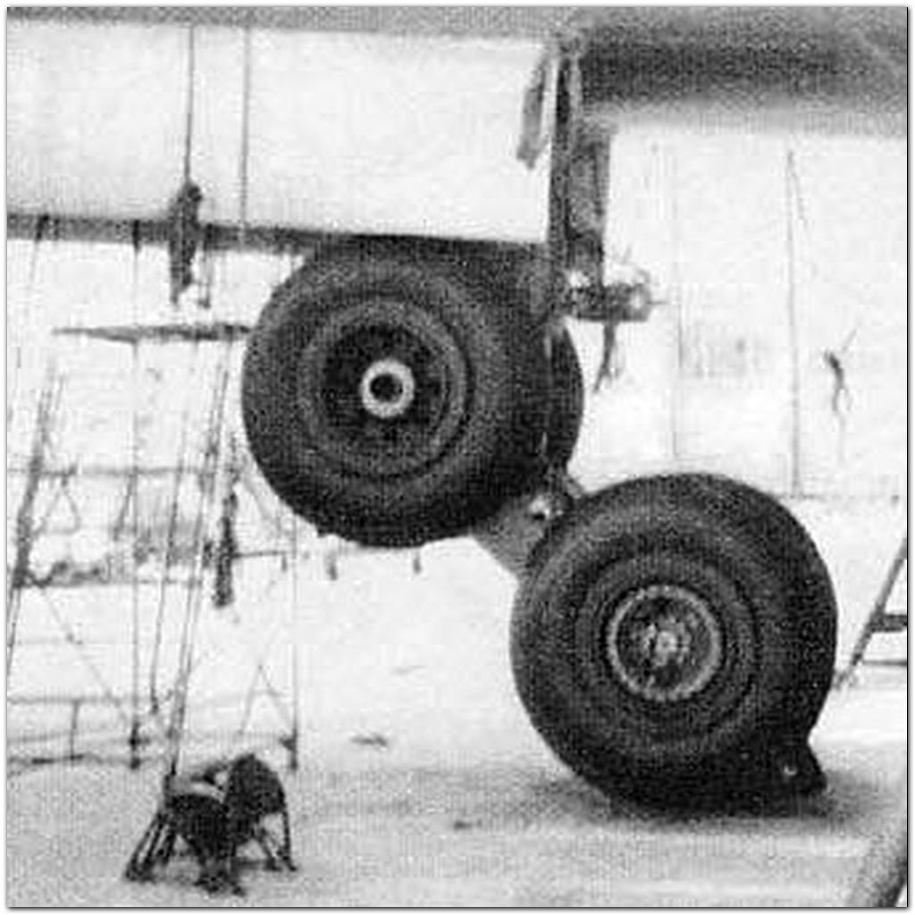 ����� ��������. �-4 ��� ������ �25�; ������� �103�; �� ���� ����: �Bison� (�����) � ��������� ... - 4