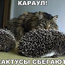 ���� �����, ����������, 61 ��� - ��������� 20 ������ 2016 � ������ ������ ��������