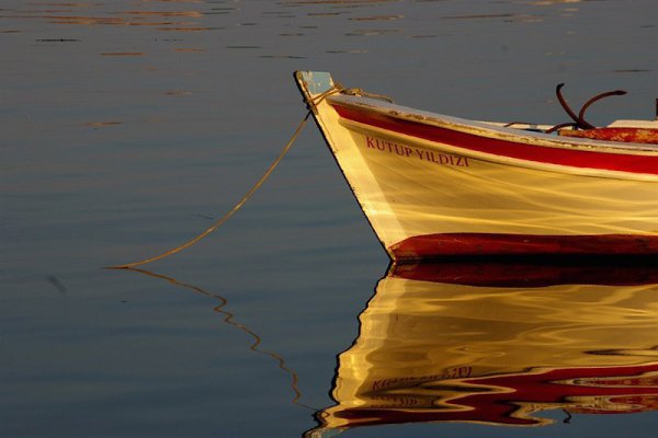 40 важных мыслей о жизни. 1. Хочешь жить спокойно – не оказывай благодеяний, когда тебя об этом не ...