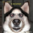 �� ���???? �� ������� ���� ����������
