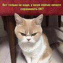 ���� �������, ������, 44 ���� - ��������� 19 ������� 2017 � ������ ������ ��������