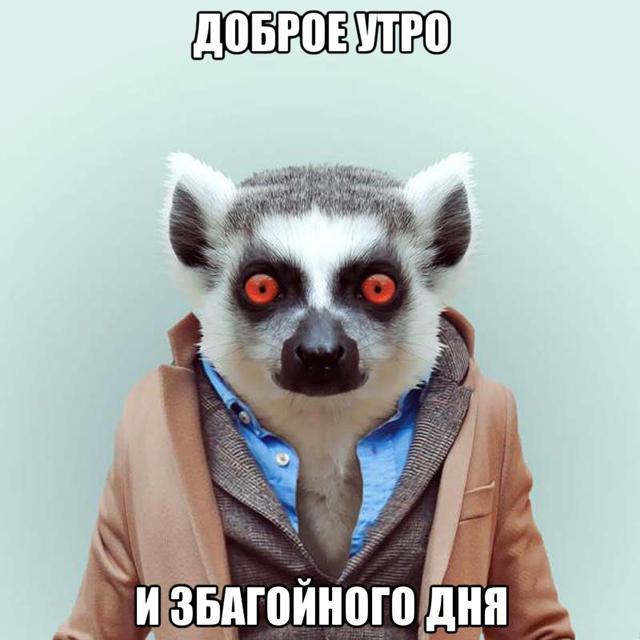   !    )). ,  -     ...