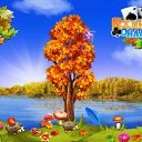 ���� ���������, �������, 51 ��� - ��������� 31 ������� 2016 � ������ �������� �������-�������