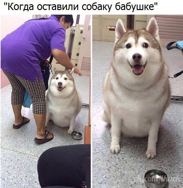  - 24  2017  14:11