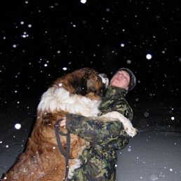 ���� �������, ������-��-����, 38 ��� - ��������� 12 ������� 2017