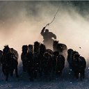 -           .   2016.  NG.   