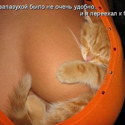  , - -  13  2016