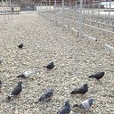 �� ����� ������ ������ � ������ �� ������� ������ 2017�