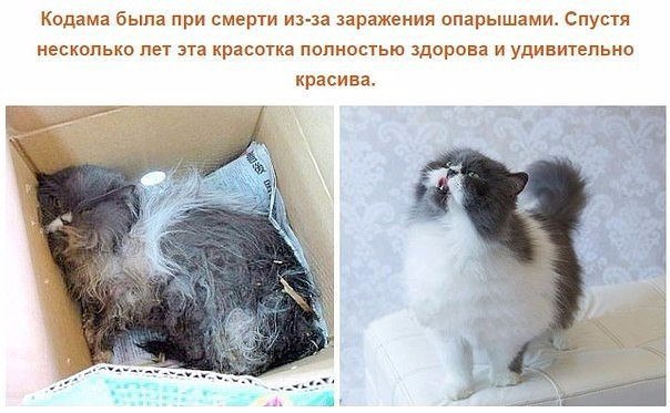  ,    :    . ,  ! - 10