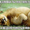 ���� ����, �����������, 56 ��� - ��������� 31 ����� 2017 � ������ ������ ��������
