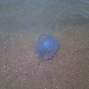 ���� �������, �������� - ��������� 22 ������� 2016