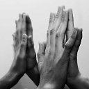 ���� ���������, ��������� - ��������� 29 ������� 2016 � ������ ������ ��������