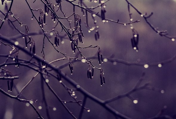 ))).Волшебство всегда прячется в самых обыкновенных вещах.Даже скучный пасмурный день может ...