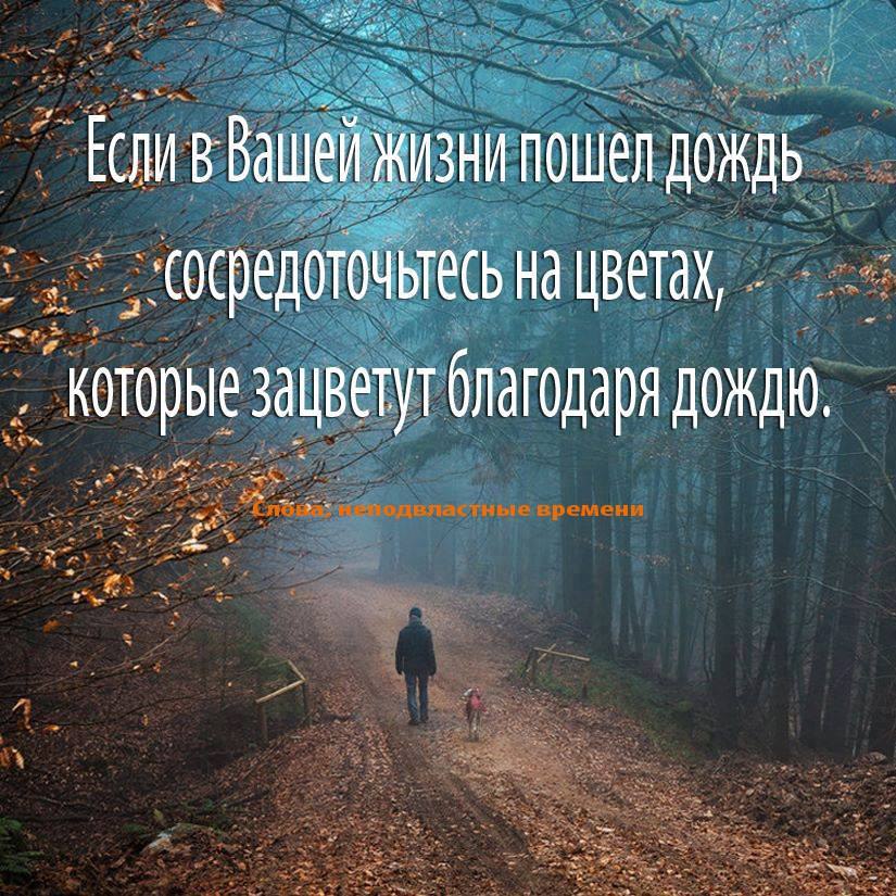 Greta - 18 ������� 2016 � 23:58