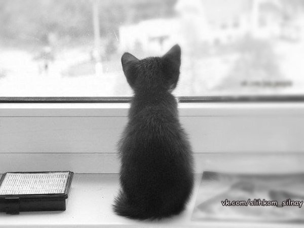Самое сложное - это так долго ждать, и в самом конце узнать, что напрасно...