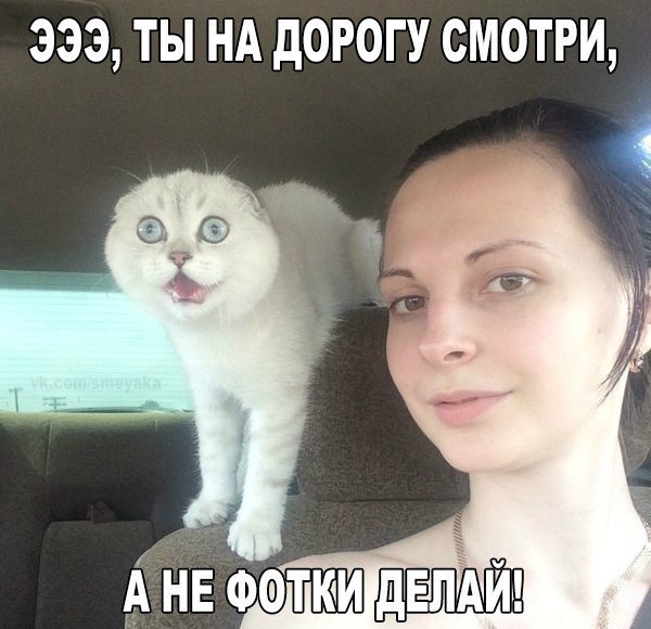    :D - 14  2016  00:07