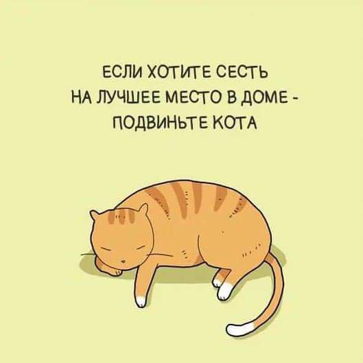   - 10  2017  01:23
