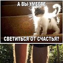  ,  -  17  2016    
