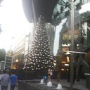  , -, 42  -  19  2016   Celebrity Solstice ... 