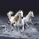 ���� ������������, ������ - ��������� 19 ����� 2017 � ������ ���� ����������