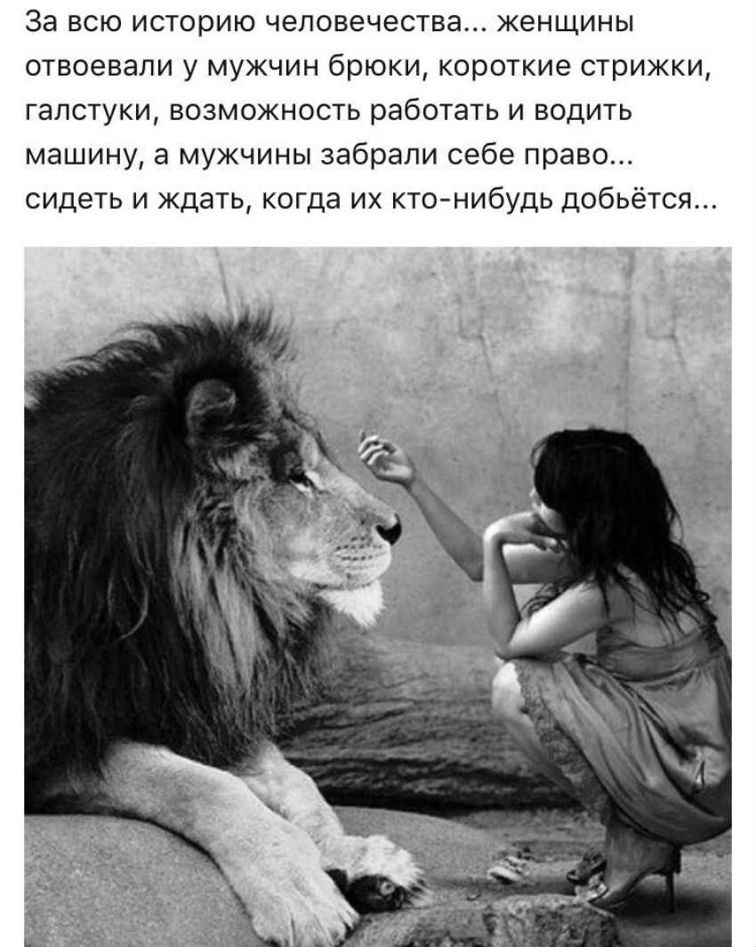  - 13  2017  15:37