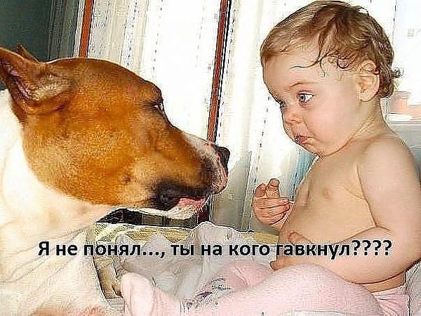***Victoria Viktorovna*** - 13  2016  02:23