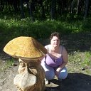 ���� �������, ����������, 44 ���� - ��������� 23 �������� 2016 � ������ ���� ����