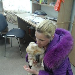 ���� �������, �����-���������, 48 ��� - ��������� 22 ������� 2017