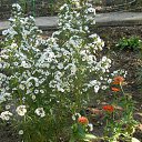  , , 73  -  25  2016     2016